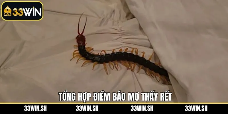 Luận giải giấc mơ thấy rết một cách tỉ mỉ và đầy đủ nhất